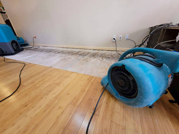 Professional Sewage Cleanup technician working in Granby, CO